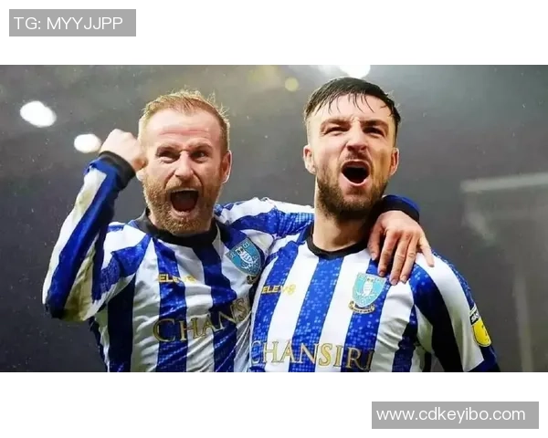 什鲁斯伯里对决分析与战术解析揭示球队未来发展潜力